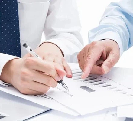 Pre-Sales Services